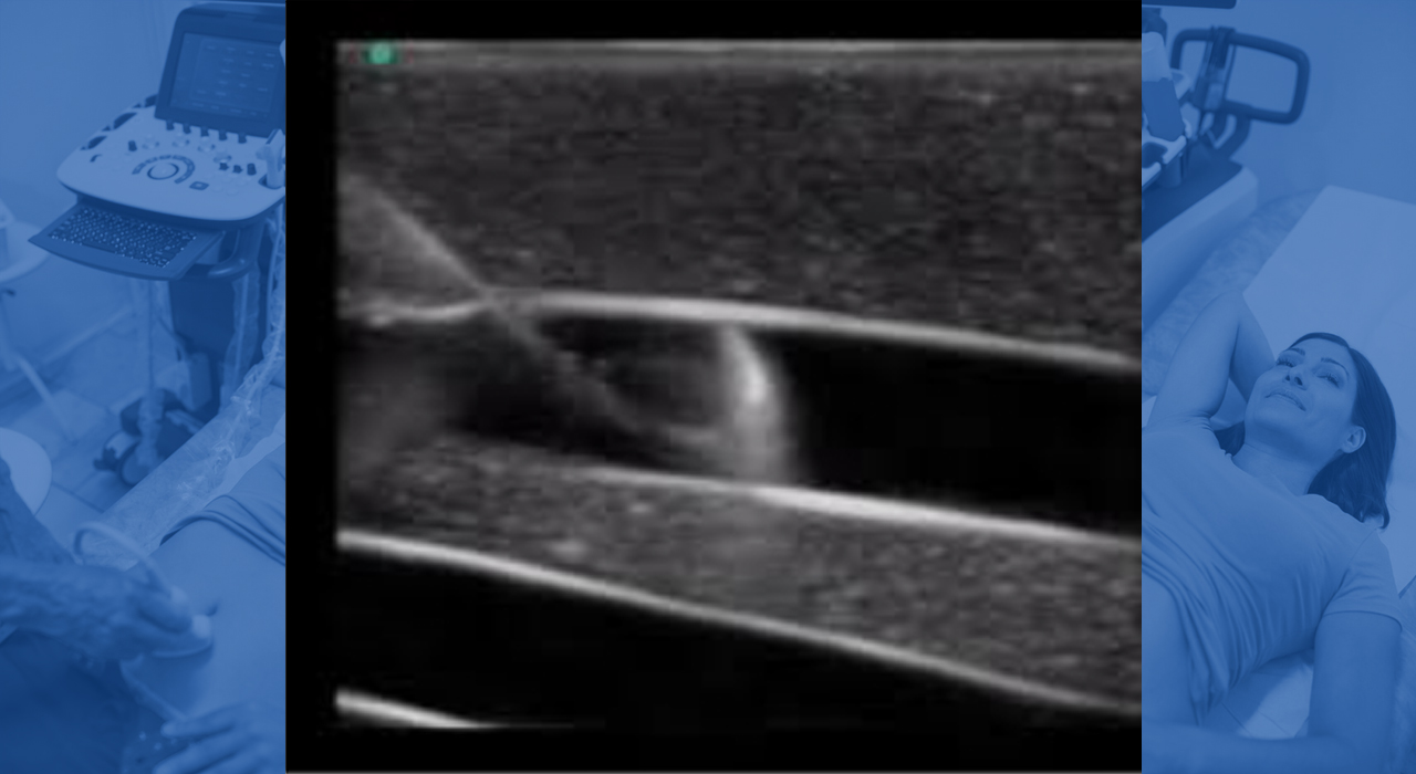 Guía de procedimientos